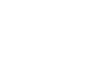 ParkChicago
